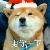 一岁