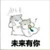 墨菲斯Morpheus