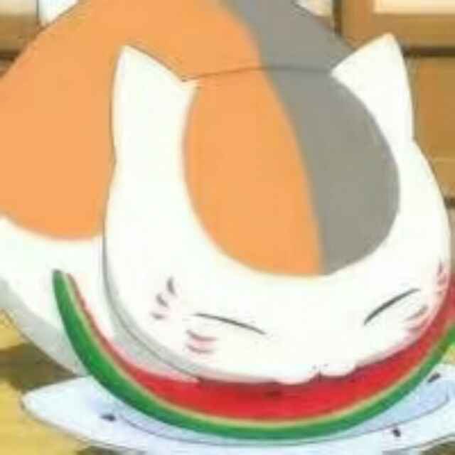 龙猫丶