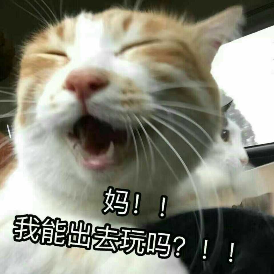 荼荼
