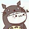 User14642361