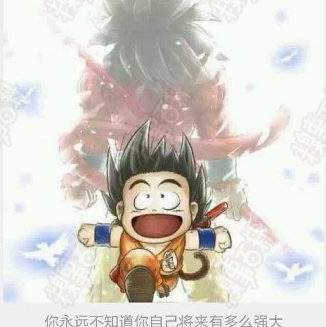 jiao.shen