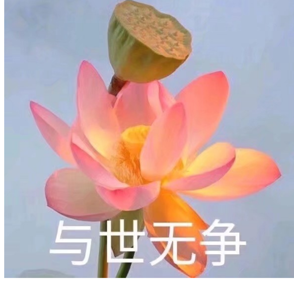 脸皮怪