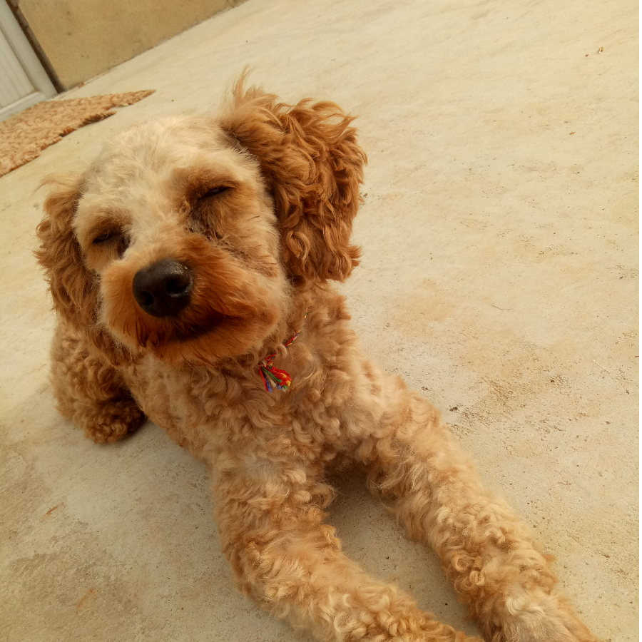 嘿～(￣▽￣～)~就是玩儿