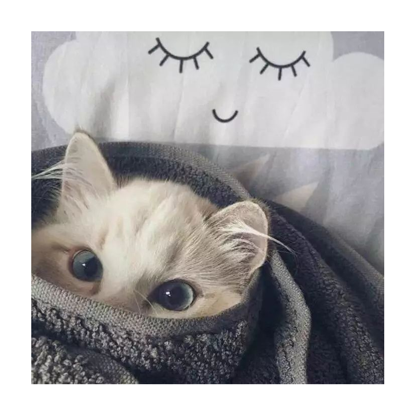 嘬一口