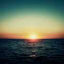 .     wait 、