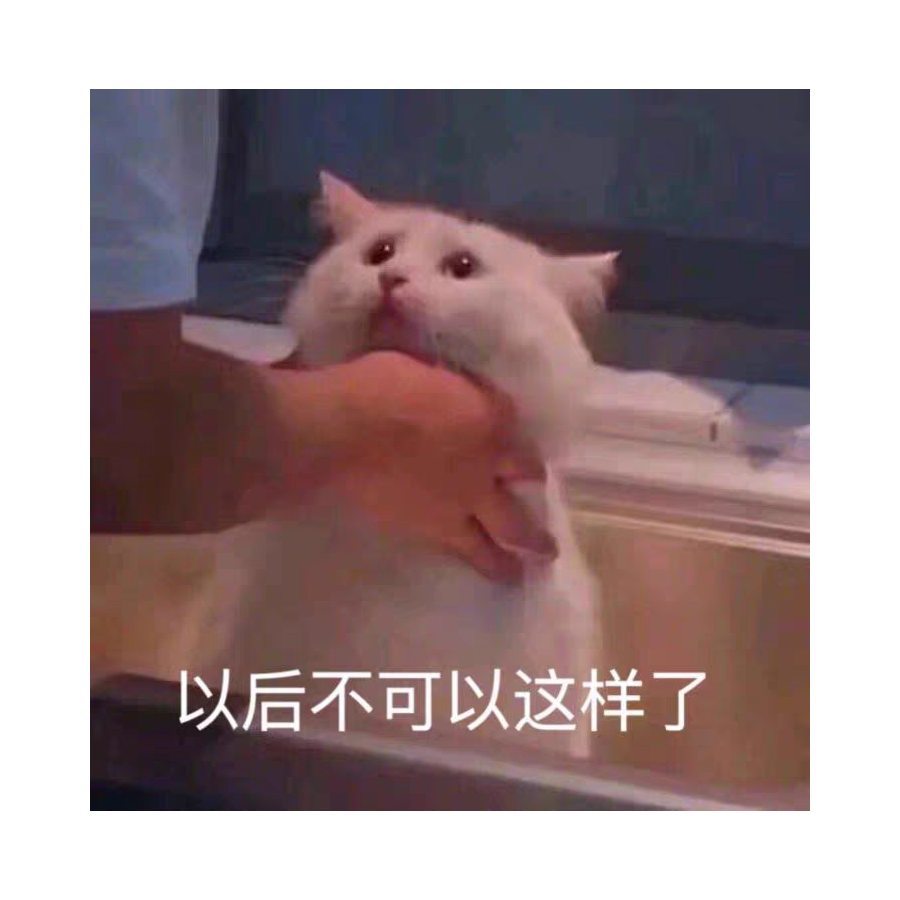 不怕事的火腿肠