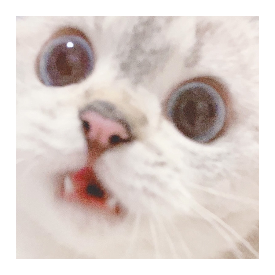 阿正