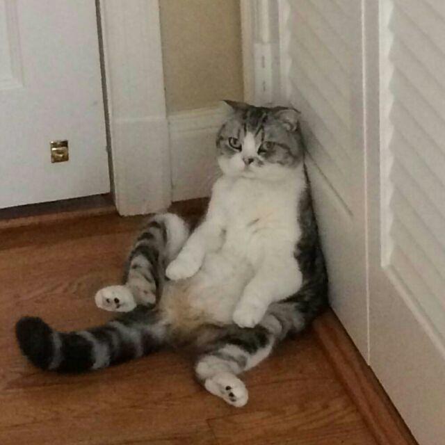 AthurMG