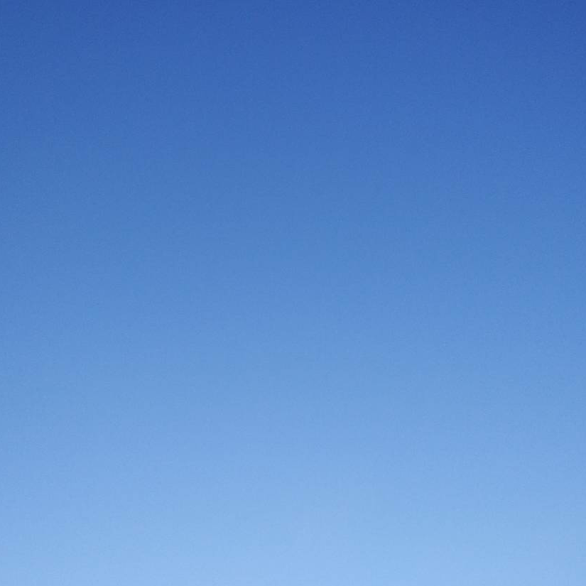 梧桐