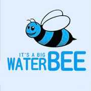 a big water bee