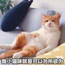 直树