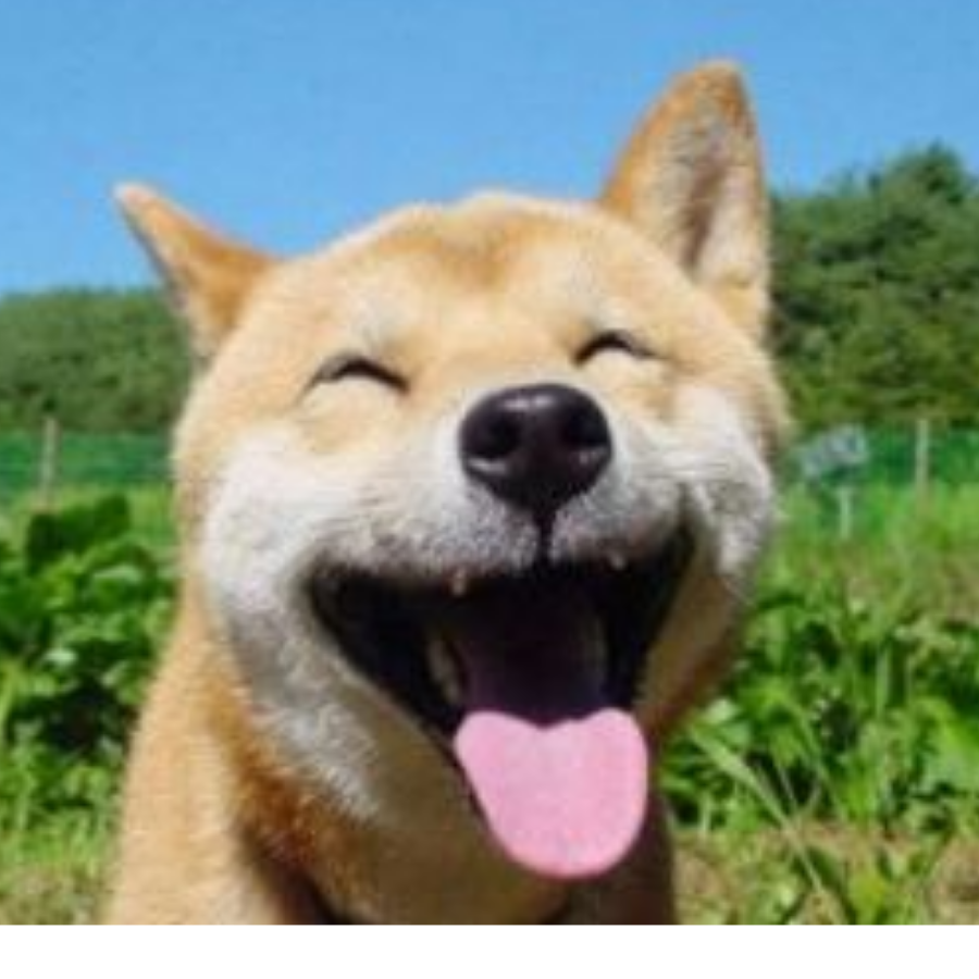 逆天狼