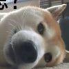 阿然