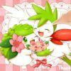 聆梦小花