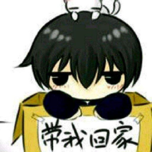 尐贵族