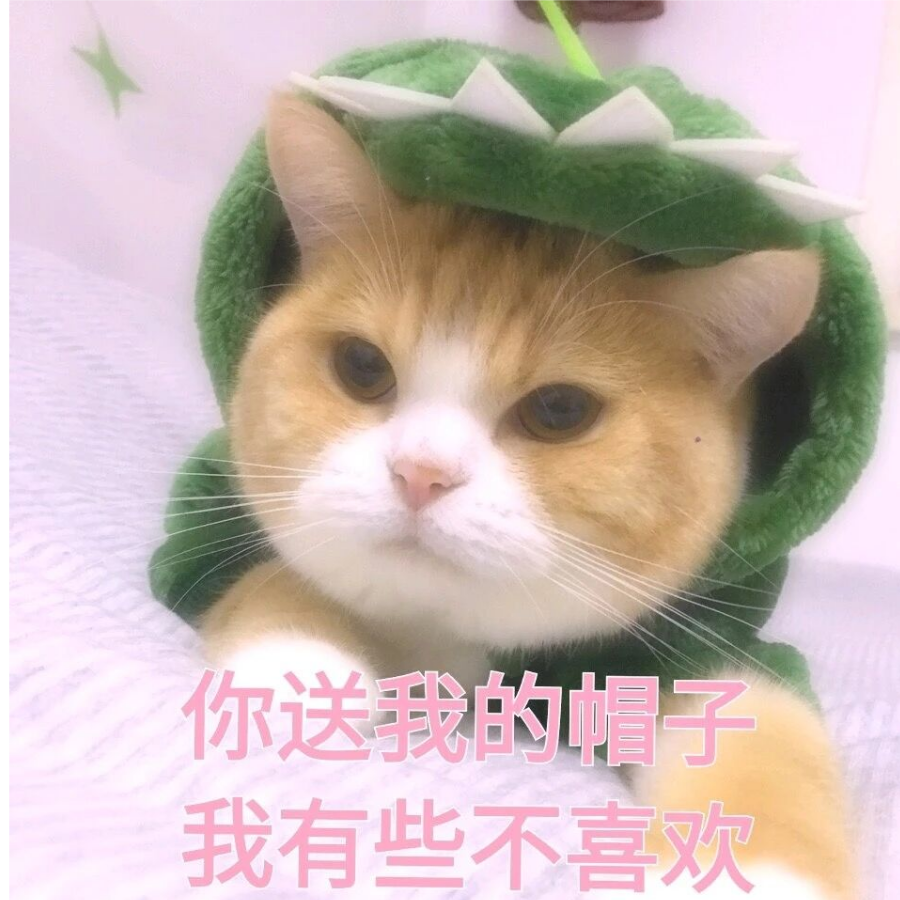 以梦为马