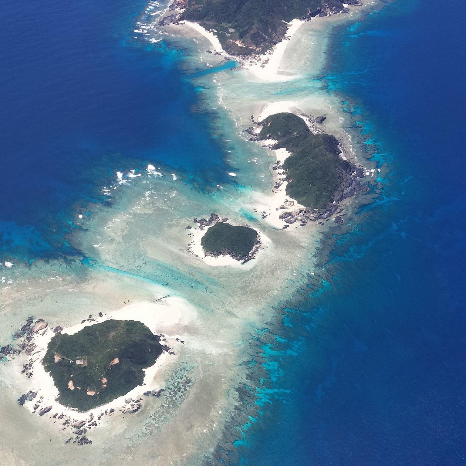 陳念柏