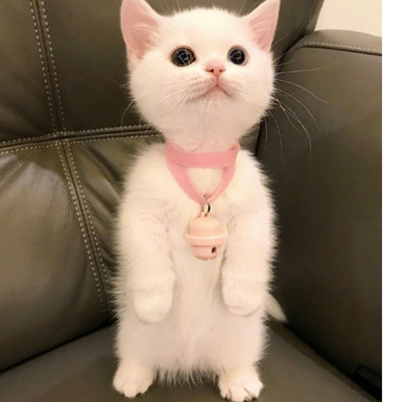 ۣۣۣۣۣۣۣۣۣۣۣۣۣۣۣ
