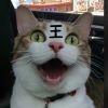 一本正经丶