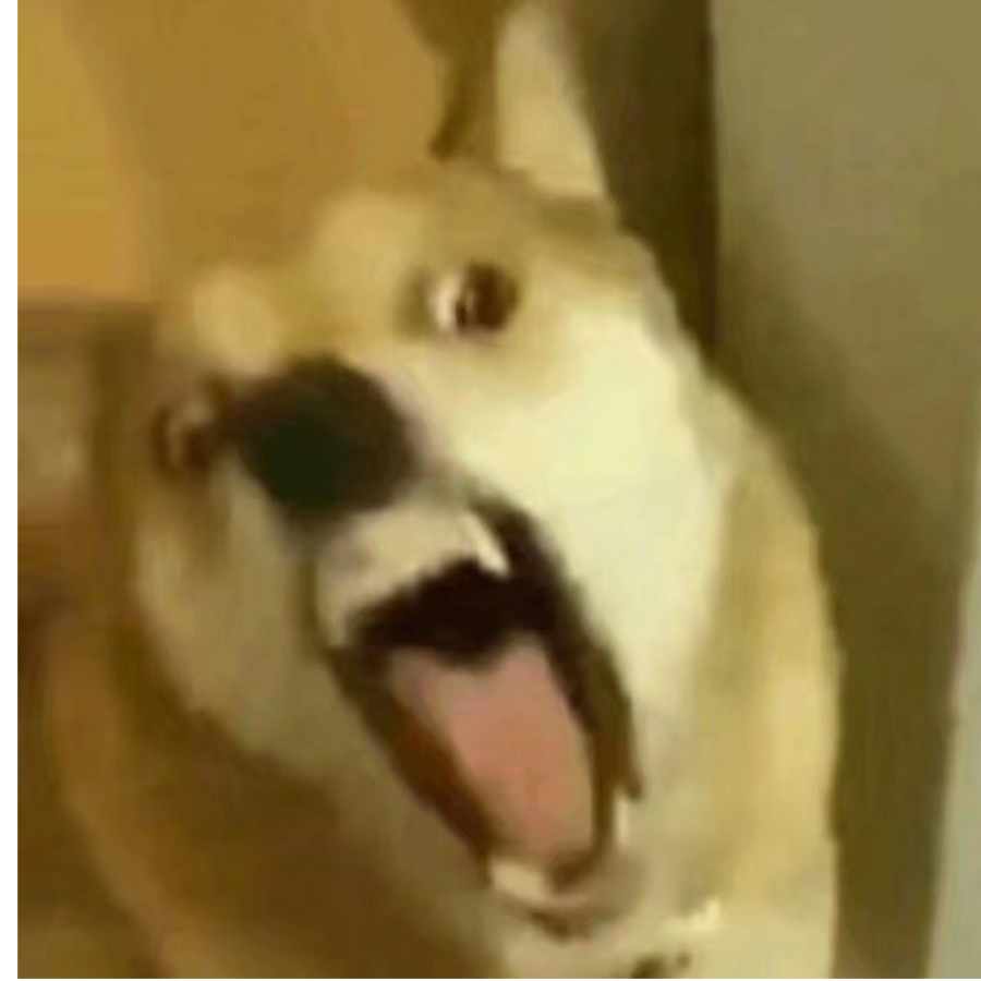千千落叶
