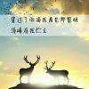 ฅ月初ฅ
