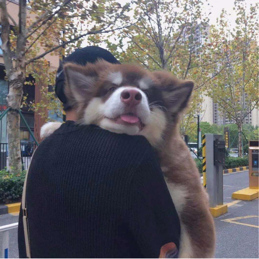 忘忧