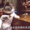 句点