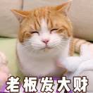 火锅真的好吃