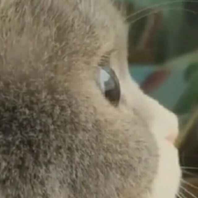 夜行如鬼