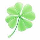 🍀