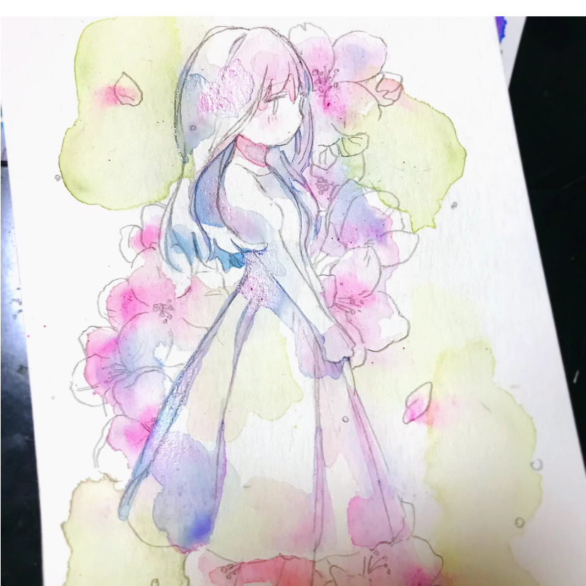 知道木槿花要开
