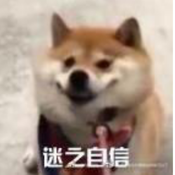 这是一个用户名