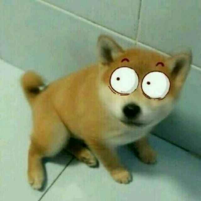 凌天