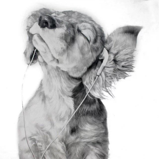 宇宙尽头彩虹海的过客hobo