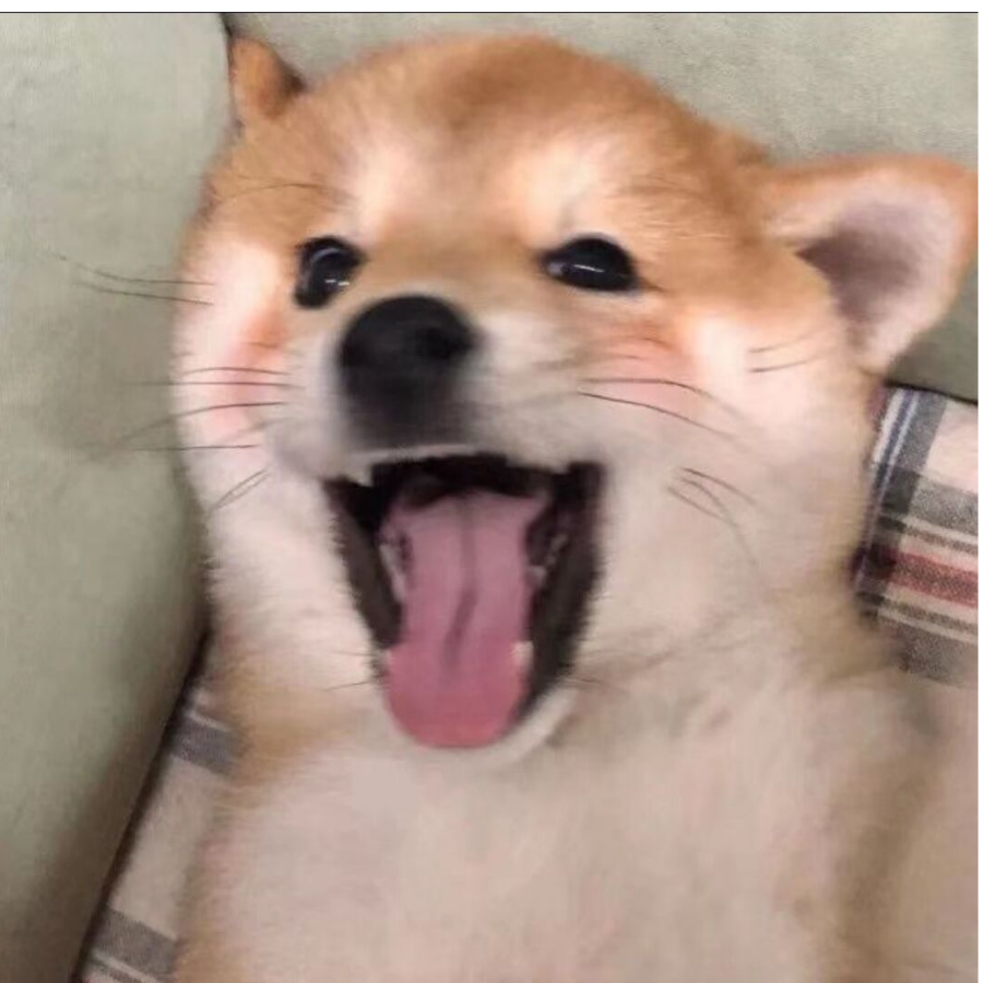 一口一个~