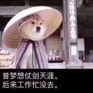 不介意孤独