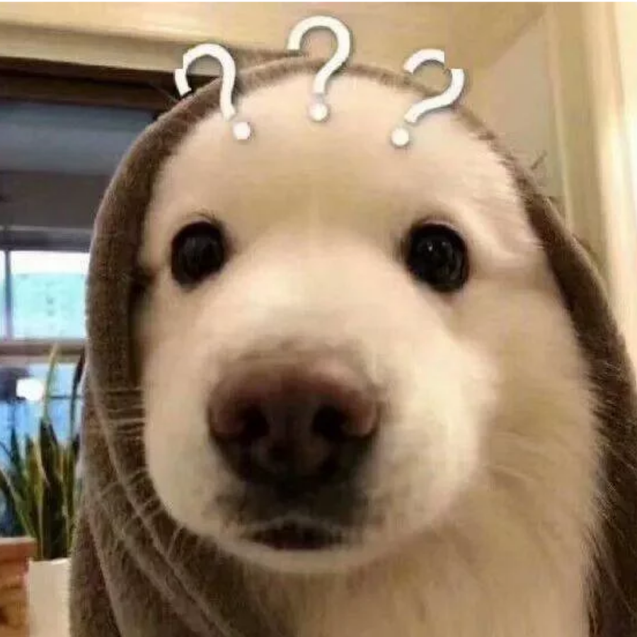 (。・`ω´・)