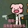Catsay-