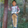 蒋路行