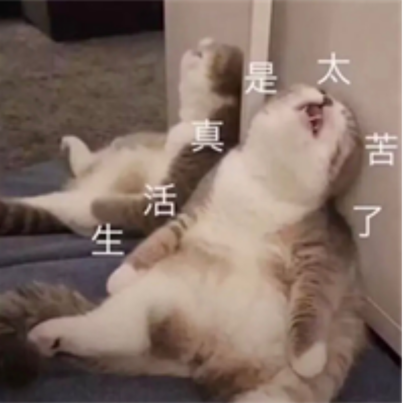 哈哈哈