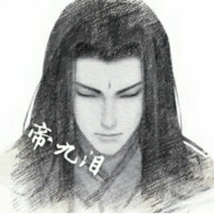 帝九泪（游戏名：国服第一大佬）