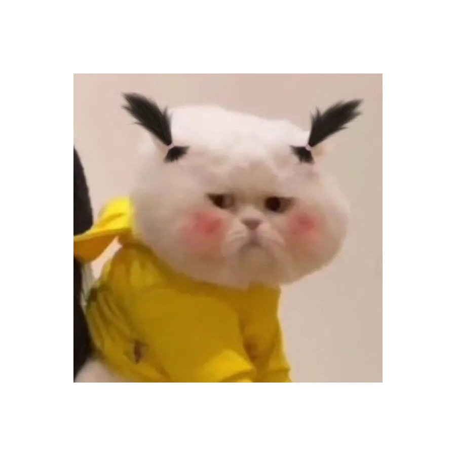 🐣