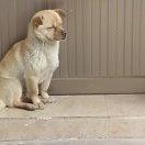 当初v方法穿暖和点