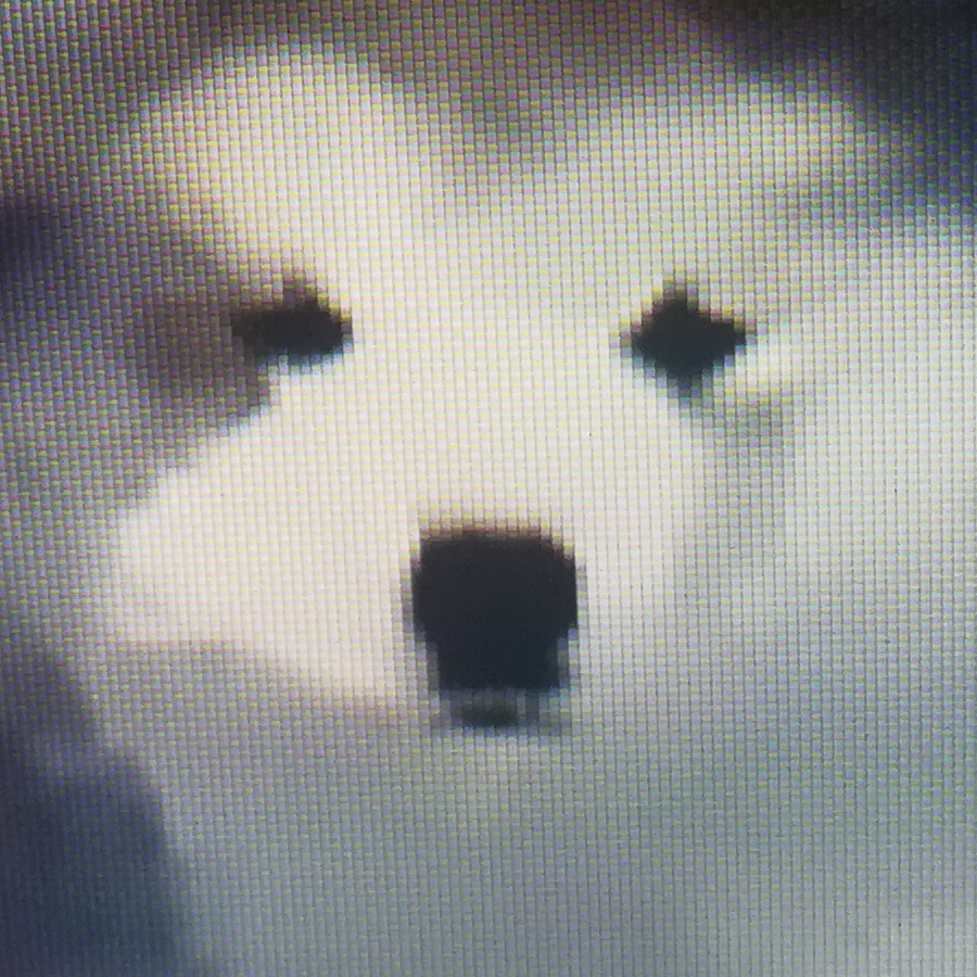 普人君