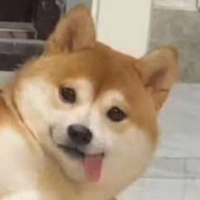 酒猫•