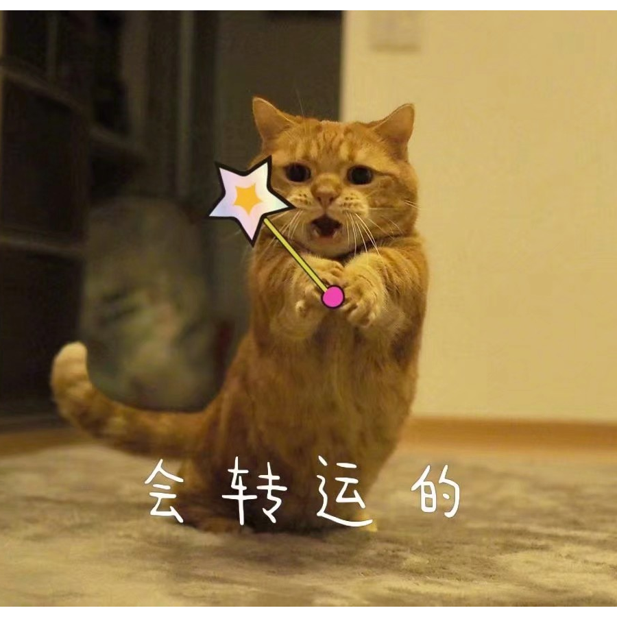圆子
