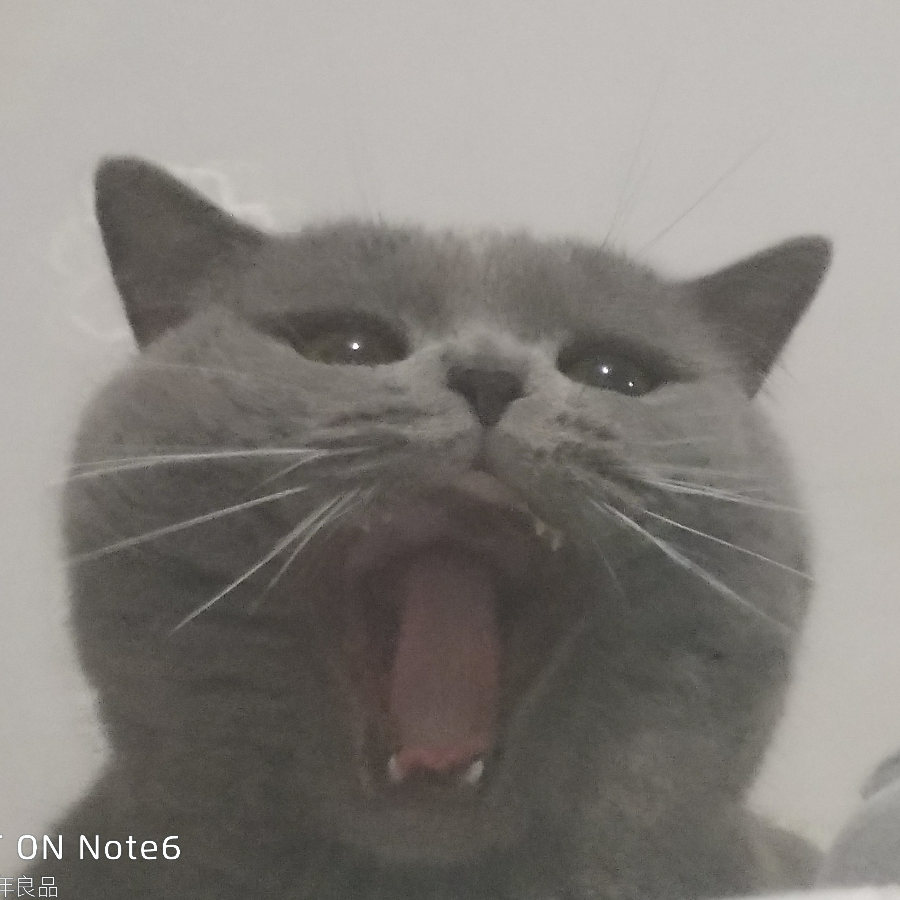 啦啦啦啦