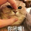 随遇而安