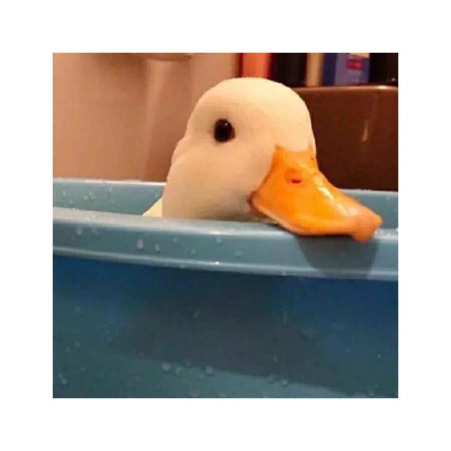 我一回头了
